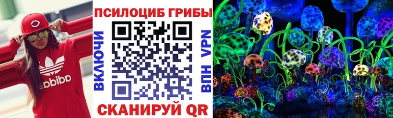 Купить  Сухой Лог  Галлюциногенные грибы Psilocybine cubensis 